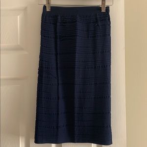 Navy Skirt